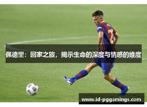 佩德里：回家之旅，揭示生命的深度与情感的维度