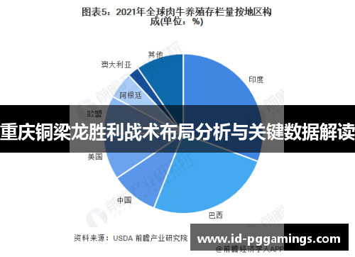 重庆铜梁龙胜利战术布局分析与关键数据解读