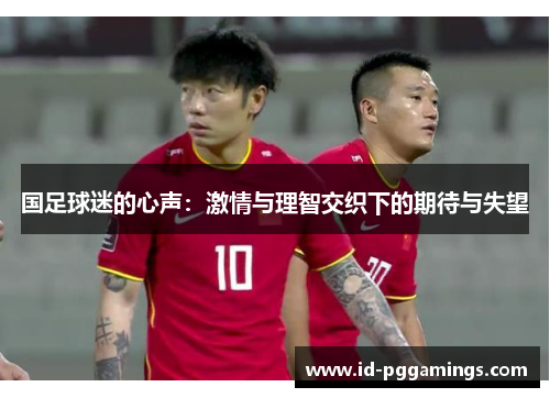 国足球迷的心声：激情与理智交织下的期待与失望