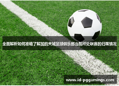 全面解析如何准确了解加的夫城足球俱乐部当前所处联赛的归属情况 全面解析如何准确了解加的夫城足球俱乐部当前所处联赛的归属情况